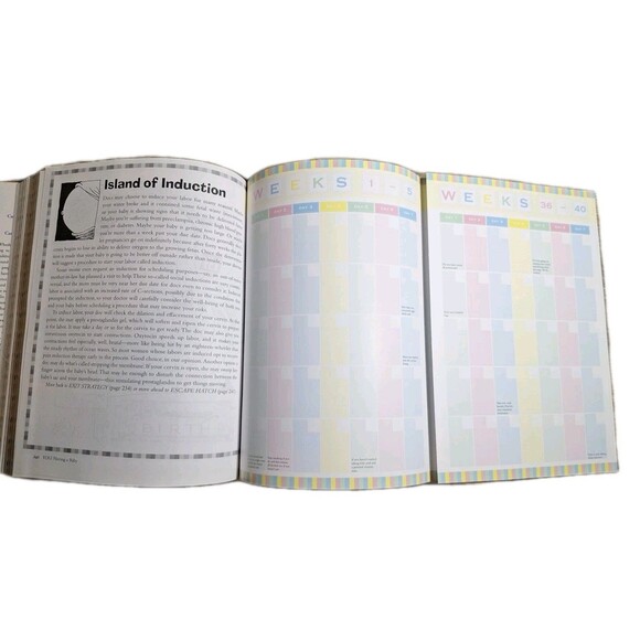 YOU: Having a Baby: The Owner's - Hardcover, by Roizen Michael F.; - Good b - Picture 4 of 5